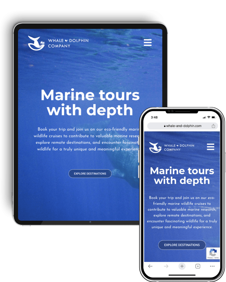 Project Whale & Dolphin - tablet and phone homepage design