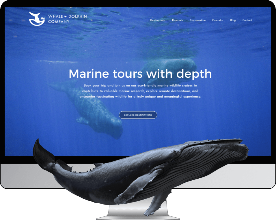 Project Whale & Dolphin - main page representation on a desktop