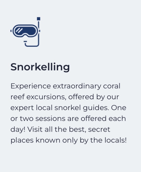 Project Whale & Dolphin - promotional text about snorkeling activities